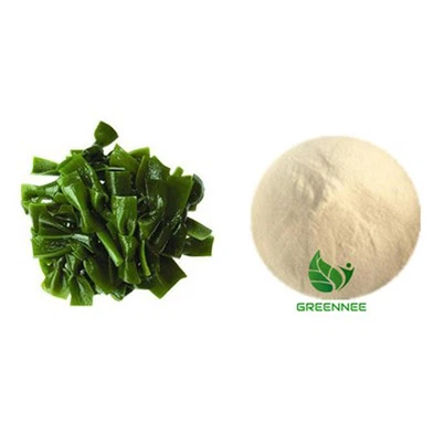 Kelp Extract noj fiber ntau 60%