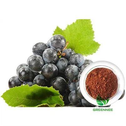 Grape noob Extract Proanthocyanidins 95%